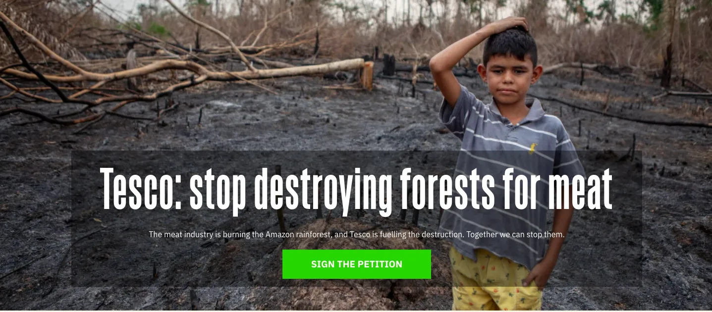 Young boy stood in a burnt forest with trees cut down