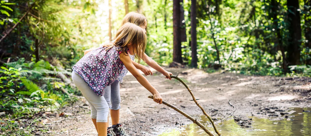 Two children hiking in forest with large sticks