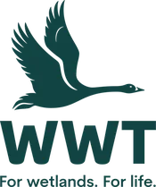 WWT Logo